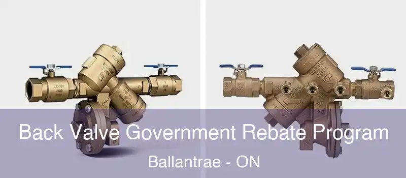 Back Valve Government Rebate Program Ballantrae - ON