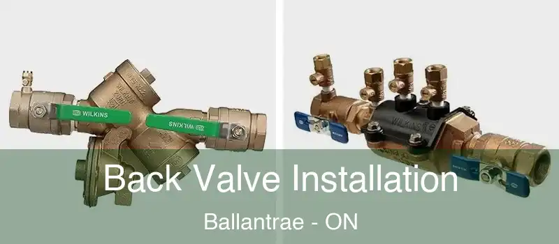 Back Valve Installation Ballantrae - ON