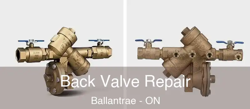 Back Valve Repair Ballantrae - ON