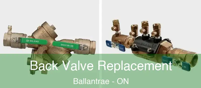  Back Valve Replacement Ballantrae - ON