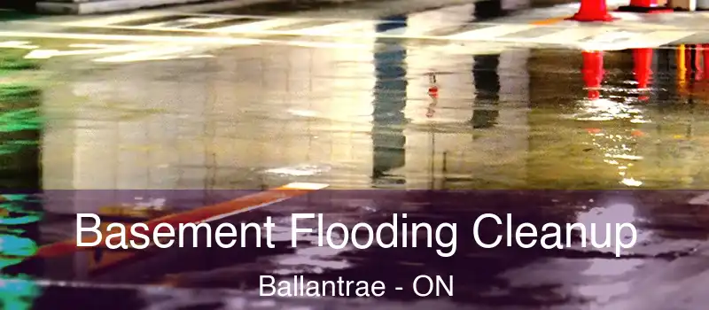 Basement Flooding Cleanup Ballantrae - ON