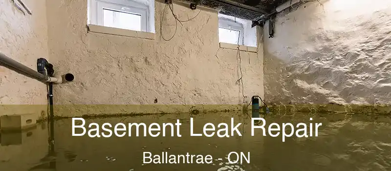  Basement Leak Repair Ballantrae - ON
