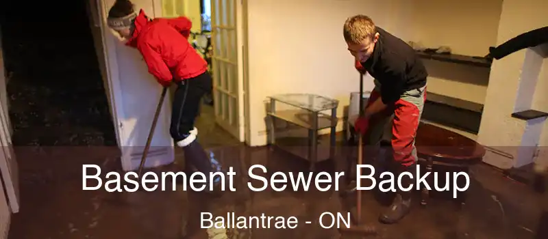 Basement Sewer Backup Ballantrae - ON
