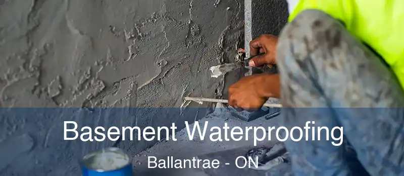  Basement Waterproofing Ballantrae - ON