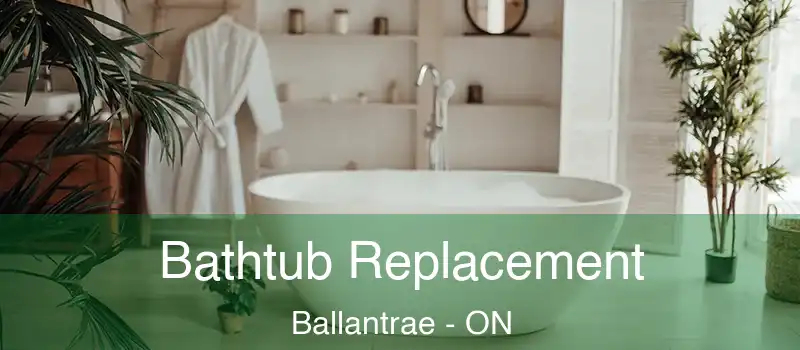  Bathtub Replacement Ballantrae - ON