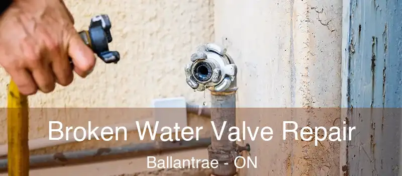  Broken Water Valve Repair Ballantrae - ON