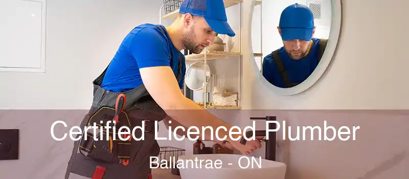 Certified Licenced Plumber Ballantrae - ON