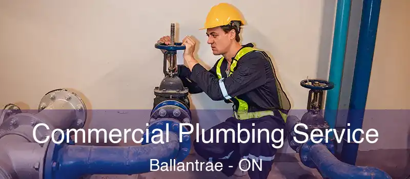 Commercial Plumbing Service Ballantrae - ON