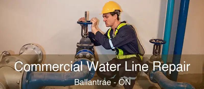  Commercial Water Line Repair Ballantrae - ON