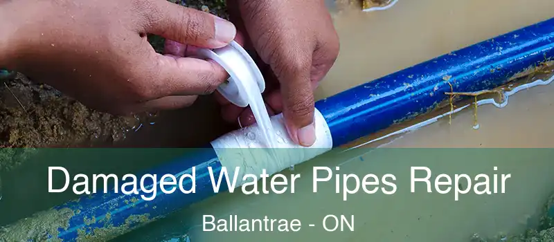Damaged Water Pipes Repair Ballantrae - ON