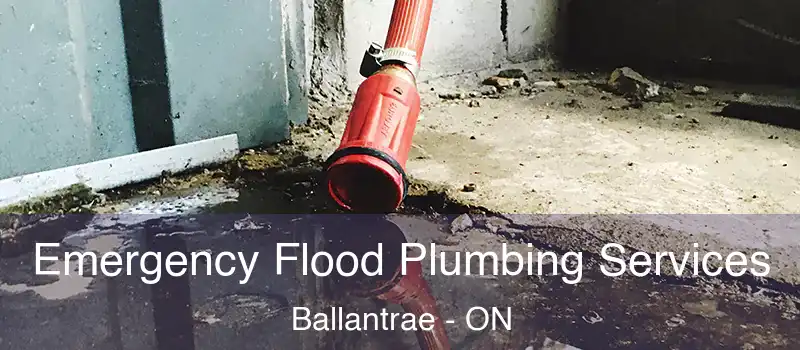 Emergency Flood Plumbing Services Ballantrae - ON