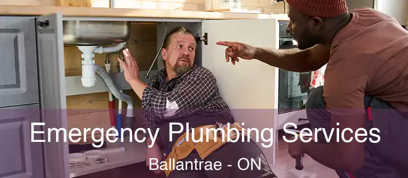 Emergency Plumbing Services Ballantrae - ON