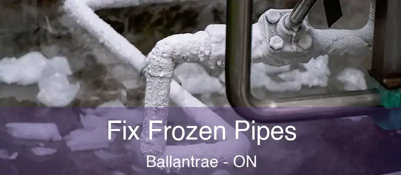  Fix Frozen Pipes Ballantrae - ON