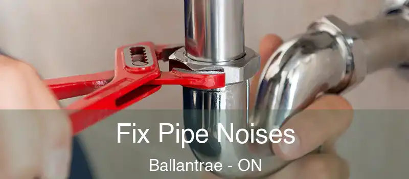  Fix Pipe Noises Ballantrae - ON