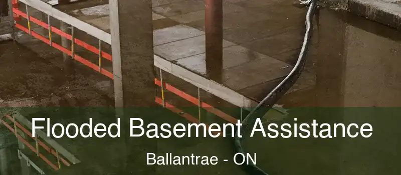 Flooded Basement Assistance Ballantrae - ON