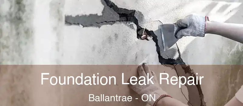 Foundation Leak Repair Ballantrae - ON
