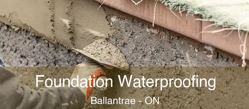 Foundation Waterproofing Ballantrae - ON