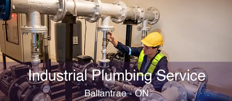 Industrial Plumbing Service Ballantrae - ON