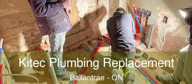 Kitec Plumbing Replacement Ballantrae - ON