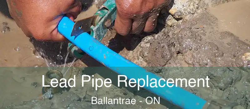Lead Pipe Replacement Ballantrae - ON