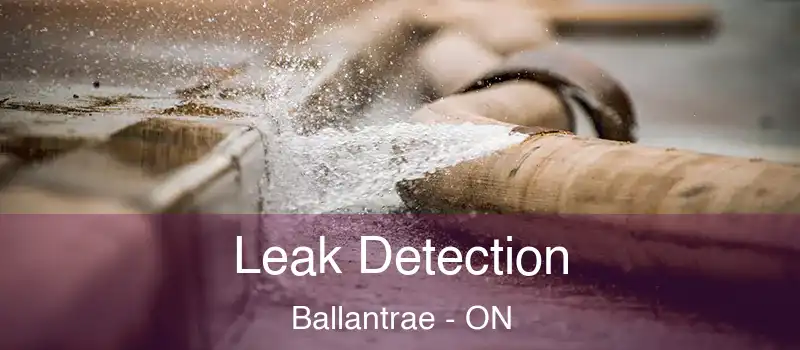 Leak Detection Ballantrae - ON