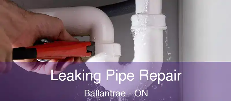 Leaking Pipe Repair Ballantrae - ON