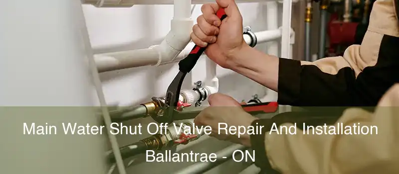 Main Water Shut Off Valve Repair And Installation Ballantrae - ON