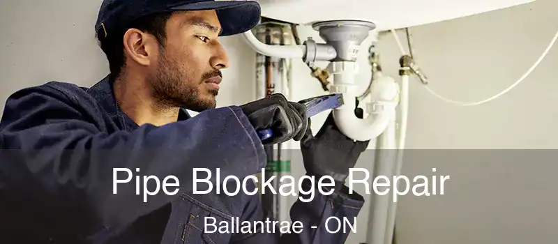 Pipe Blockage Repair Ballantrae - ON