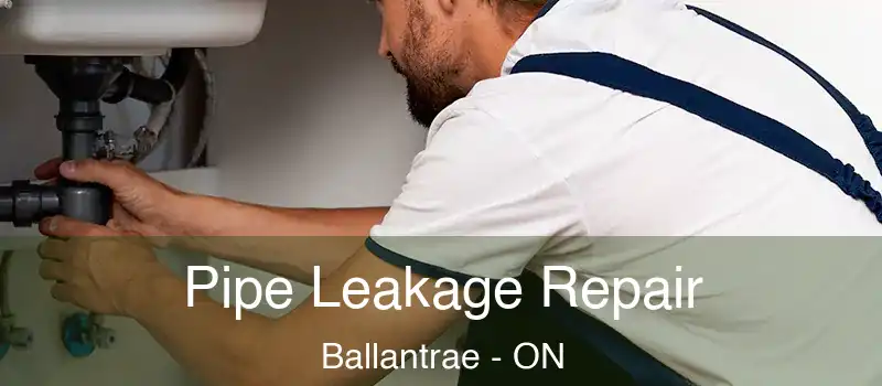 Pipe Leakage Repair Ballantrae - ON