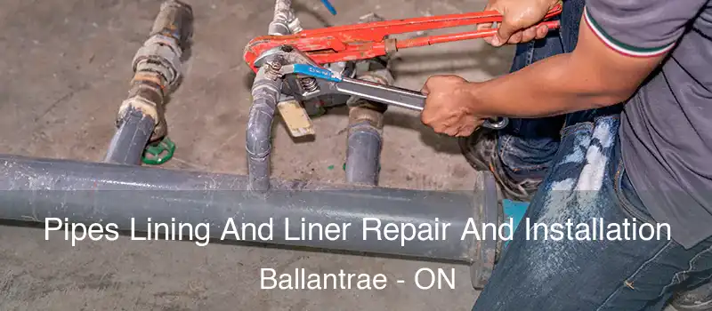  Pipes Lining And Liner Repair And Installation Ballantrae - ON