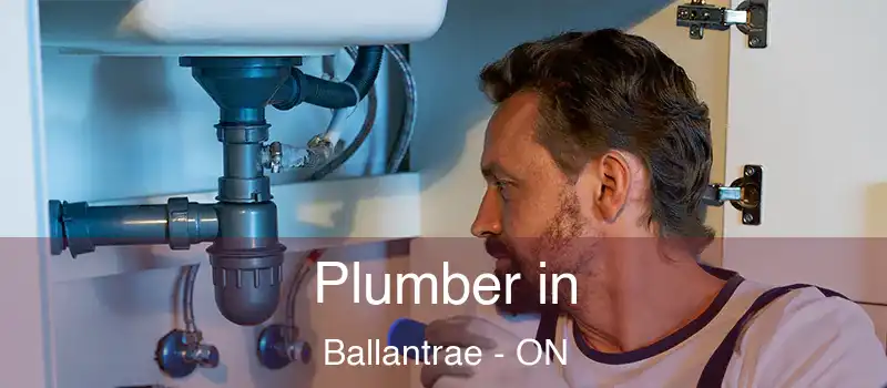 Plumber in Ballantrae - ON