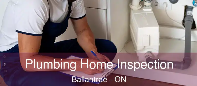  Plumbing Home Inspection Ballantrae - ON