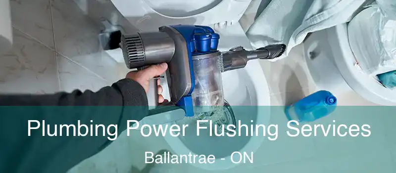 Plumbing Power Flushing Services Ballantrae - ON