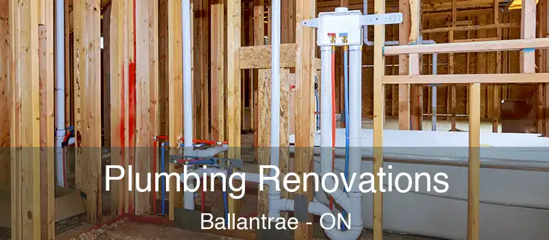 Plumbing Renovations Ballantrae - ON