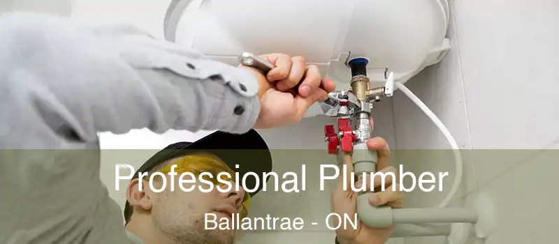 Professional Plumber Ballantrae - ON