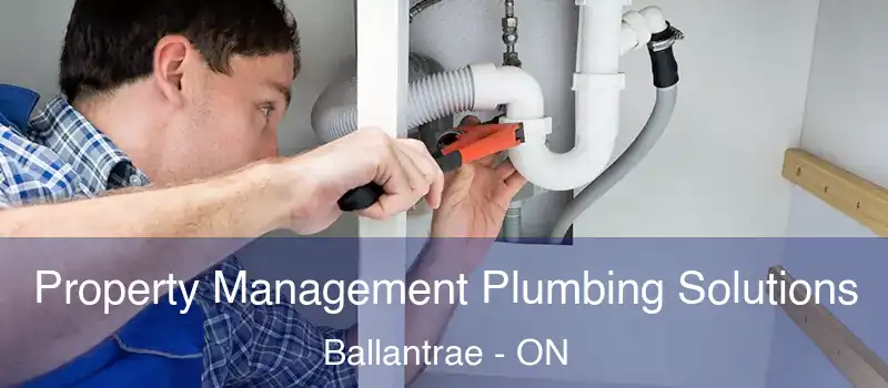 Property Management Plumbing Solutions Ballantrae - ON