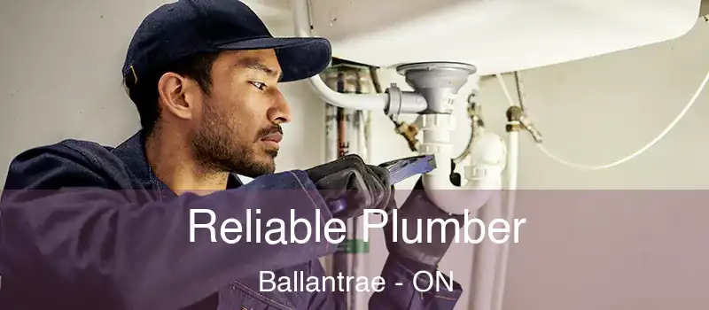 Reliable Plumber Ballantrae - ON