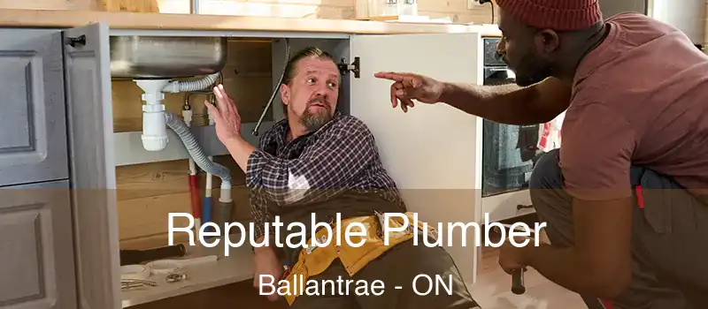 Reputable Plumber Ballantrae - ON