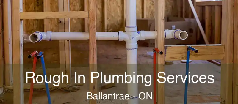 Rough In Plumbing Services Ballantrae - ON