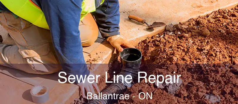  Sewer Line Repair Ballantrae - ON