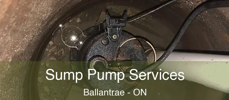Sump Pump Services Ballantrae - ON