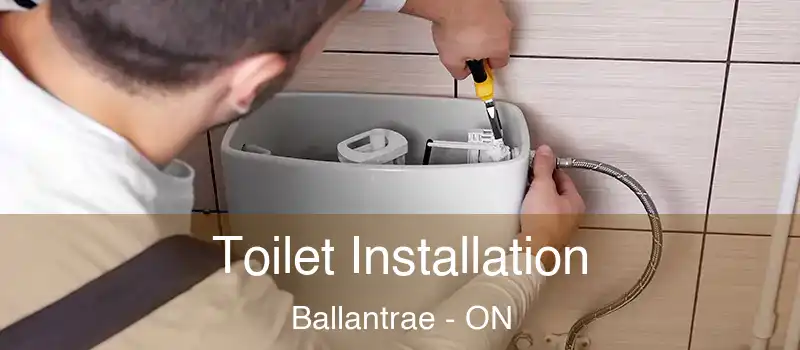 Toilet Installation Ballantrae - ON
