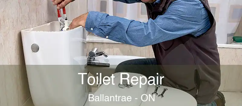 Toilet Repair Ballantrae - ON