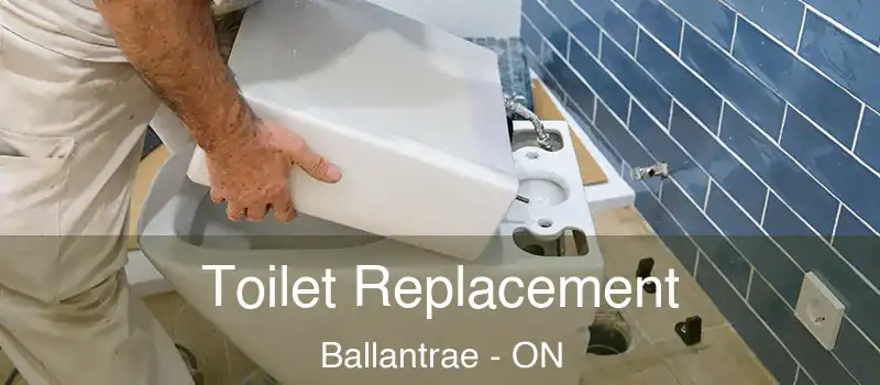 Toilet Replacement Ballantrae - ON