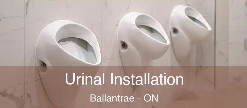  Urinal Installation Ballantrae - ON