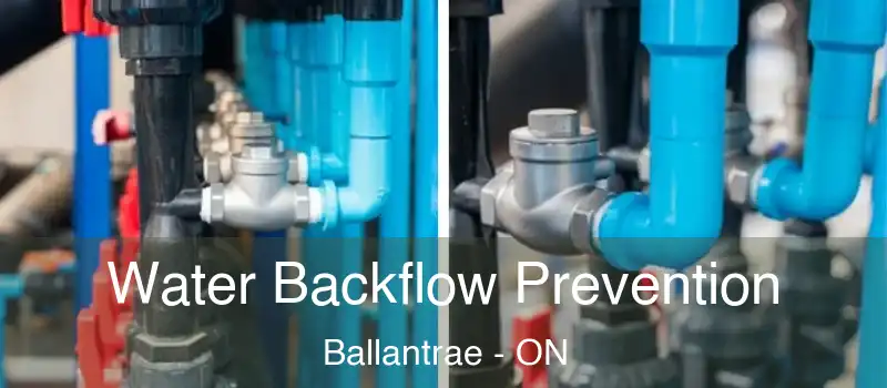 Water Backflow Prevention Ballantrae - ON