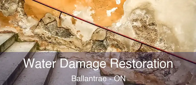  Water Damage Restoration Ballantrae - ON