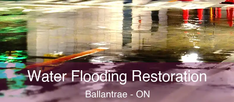  Water Flooding Restoration Ballantrae - ON