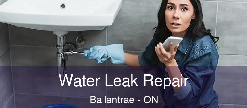  Water Leak Repair Ballantrae - ON