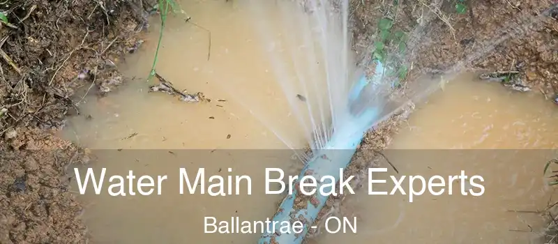 Water Main Break Experts Ballantrae - ON